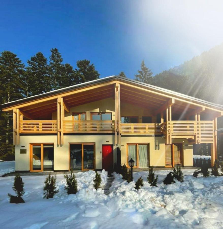 Chalet Relax Molveno E Andalo Dolomiti Villa Exterior photo